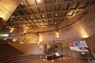 🏛️ 이와테 현립 박물관 (이와테 켄리츠 하쿠부츠칸) 이미지 5